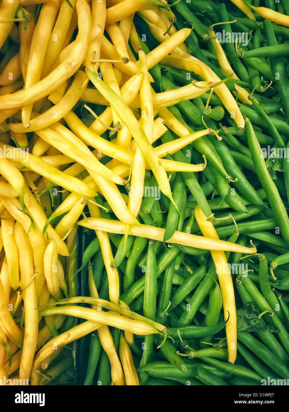 Gelb wachs Bohnen und grüne Bohnen Stockfoto
