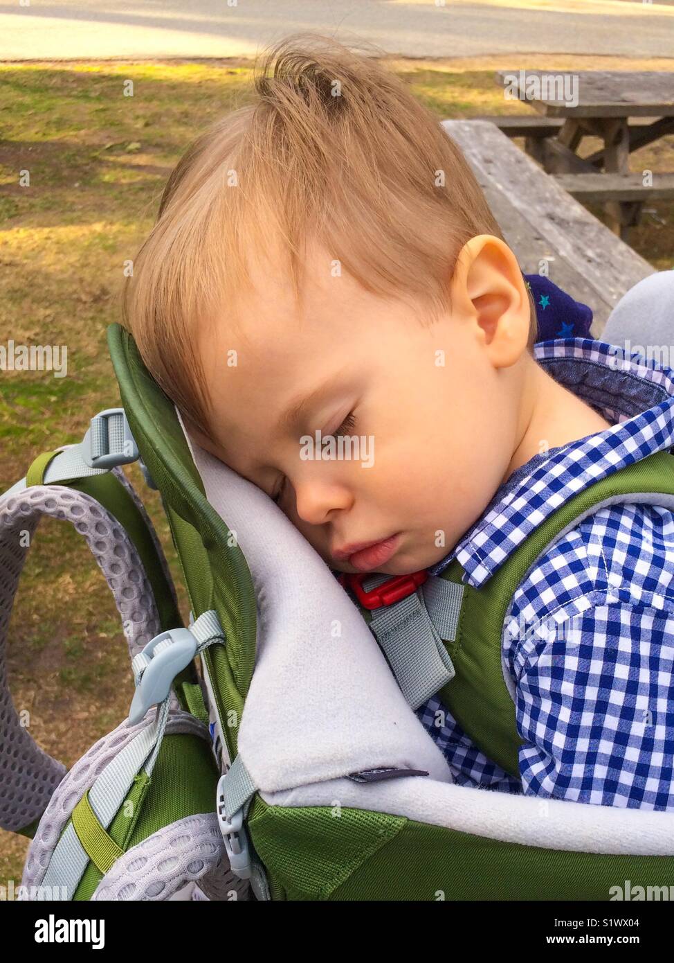 Baby Boy schlafen in einem Kleinkind Wanderrucksack Stockfoto