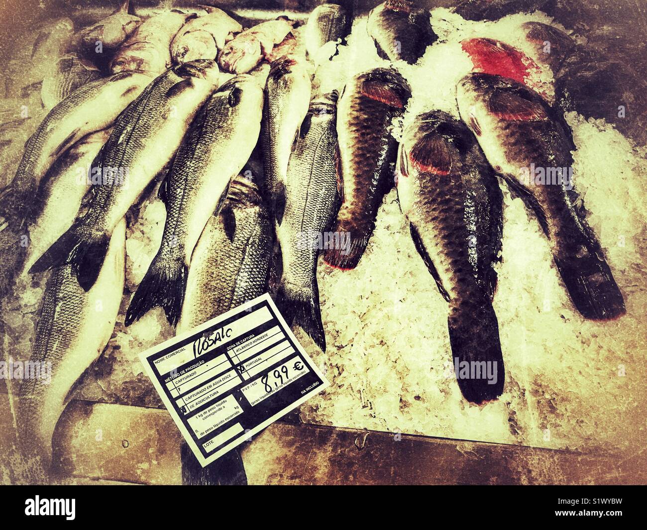 Frisch gefangenen Fisch auf Eis zum Verkauf auf dem Fischmarkt, Mercado dos Lavradores, Funchal, Madeira, Portugal - Smartphone-aufgenommenes Stockfoto