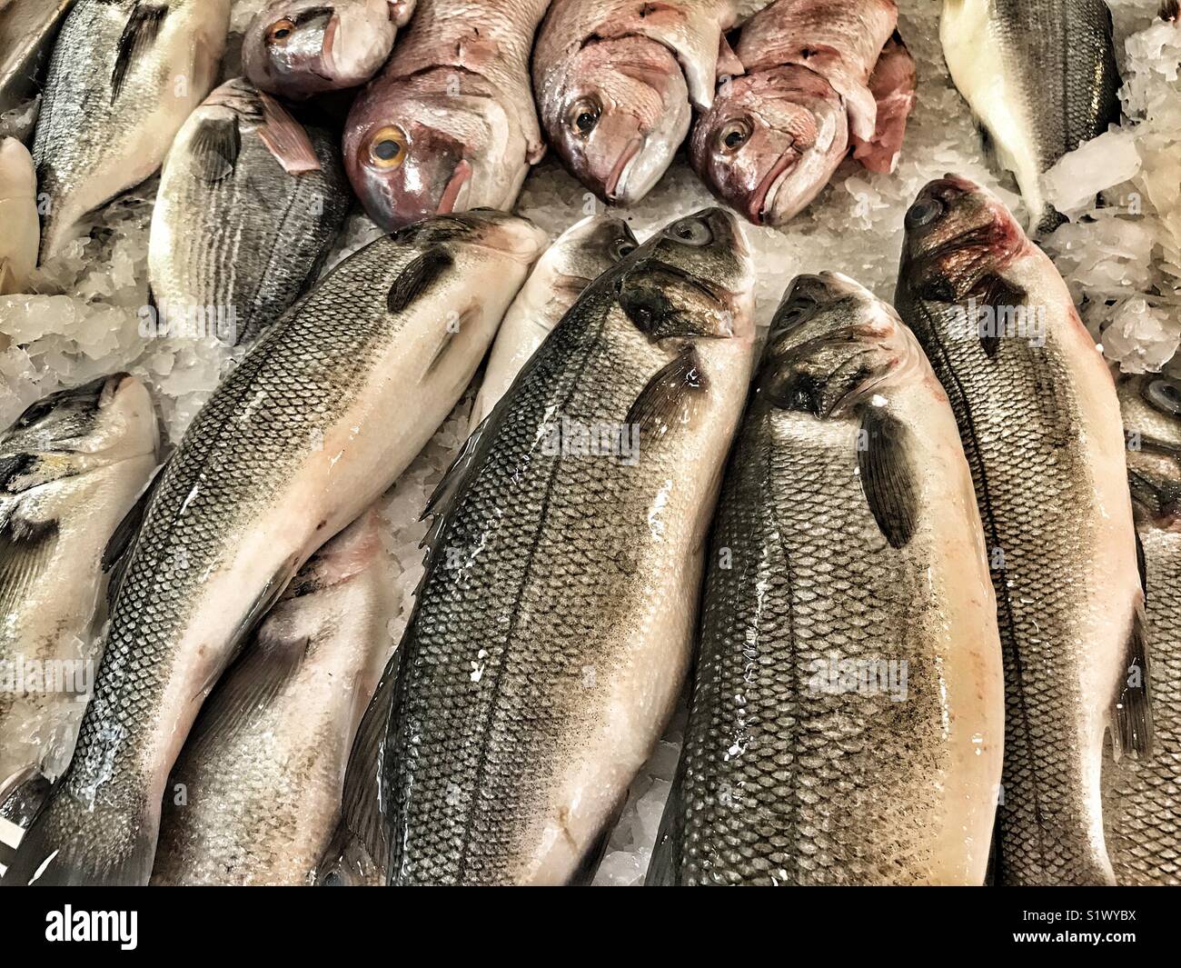 Frisch gefangenen Fisch auf Eis zum Verkauf auf dem Fischmarkt, Mercado dos Lavradores, Funchal, Madeira, Portugal - Smartphone-aufgenommenes Stockfoto