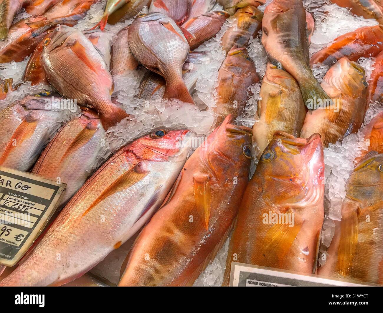 Frisch gefangenen Fisch auf Eis zum Verkauf auf dem Fischmarkt, Mercado dos Lavradores, Funchal, Madeira, Portugal - Smartphone-aufgenommenes Stockfoto