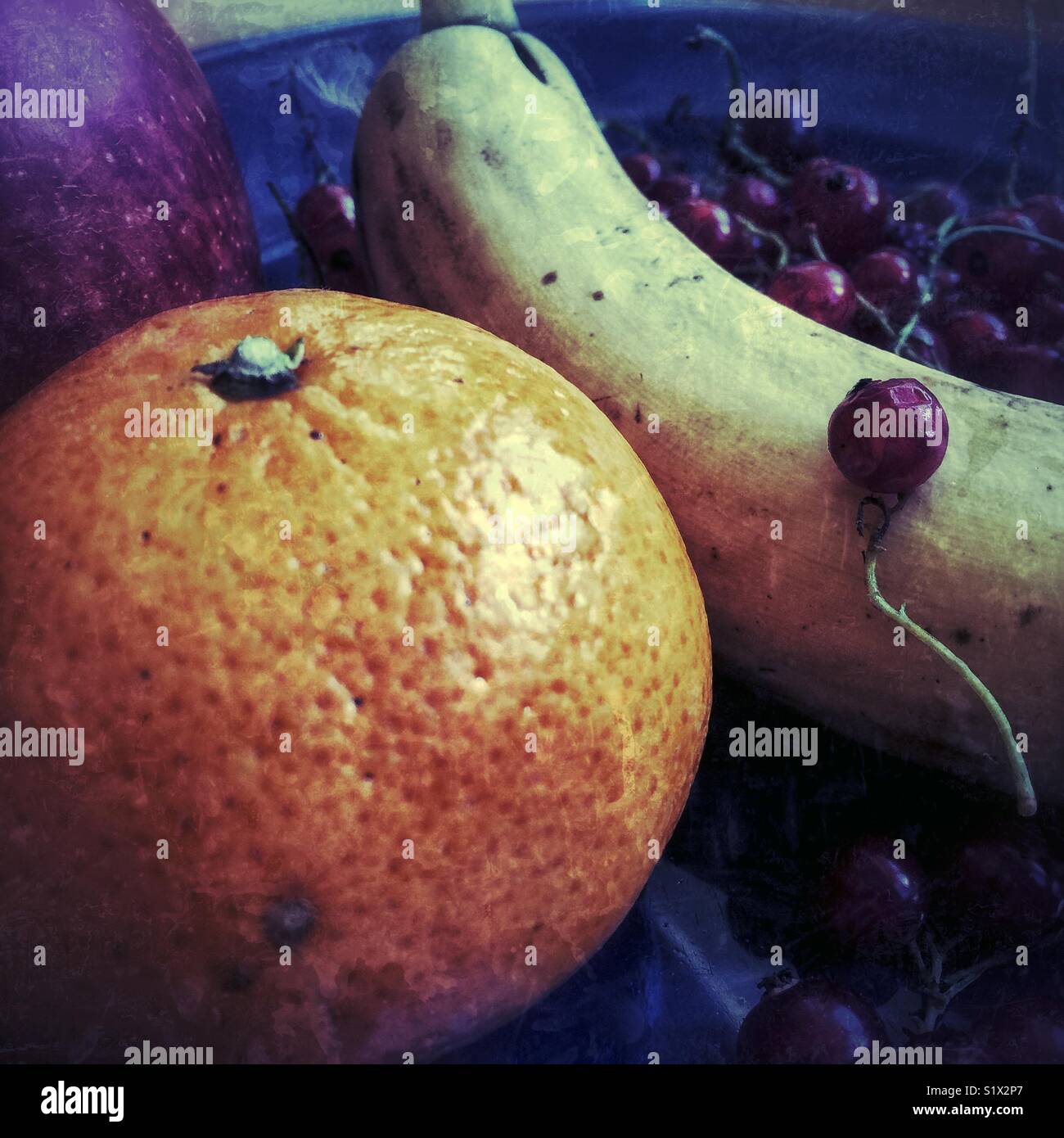 Frisches Obst und Beeren Stockfoto