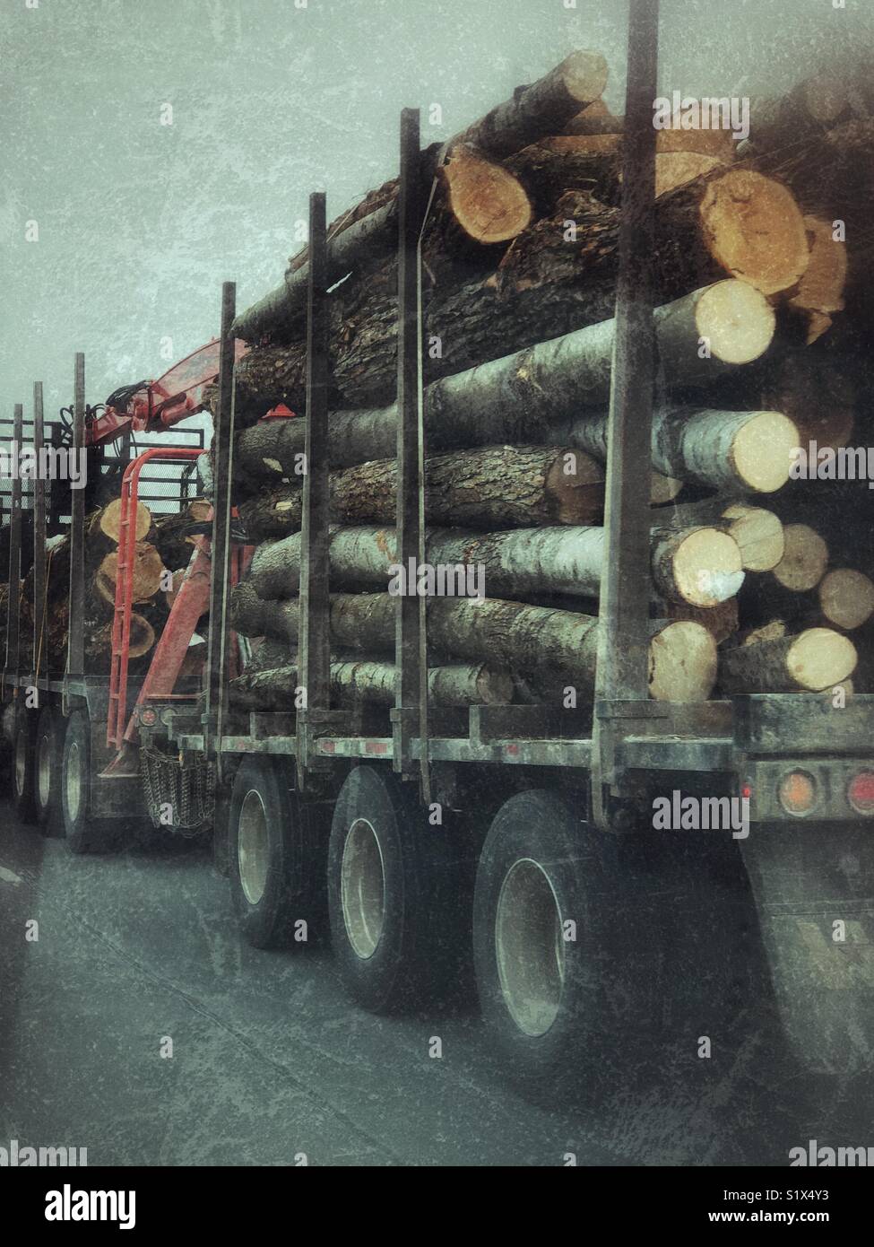 Logging Transport-LKW voller Protokolle fahren auf der Autobahn als aus der Sicht der Person, die in der Spur gesehen neben Stockfoto