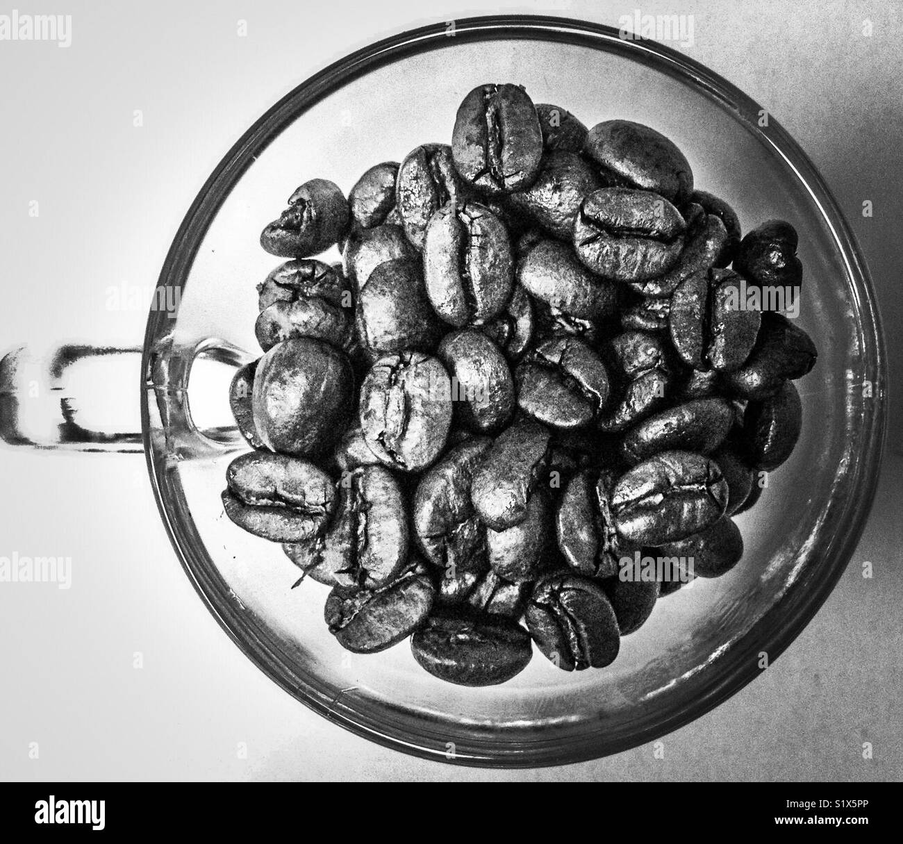 Kaffeebohnen in Espresso Tasse 0,2 Stockfoto