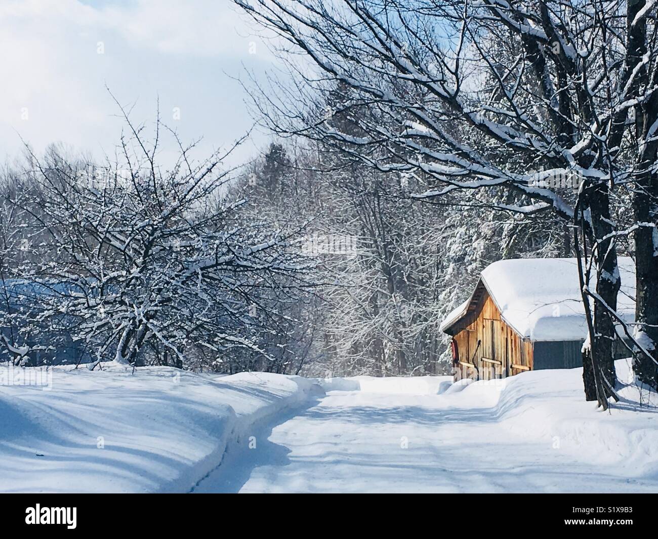 Abandonnes shack im Winter Dach ist über Quebec Kanada Bäume zu bröckeln füllten auch mit Schnee Stockfoto