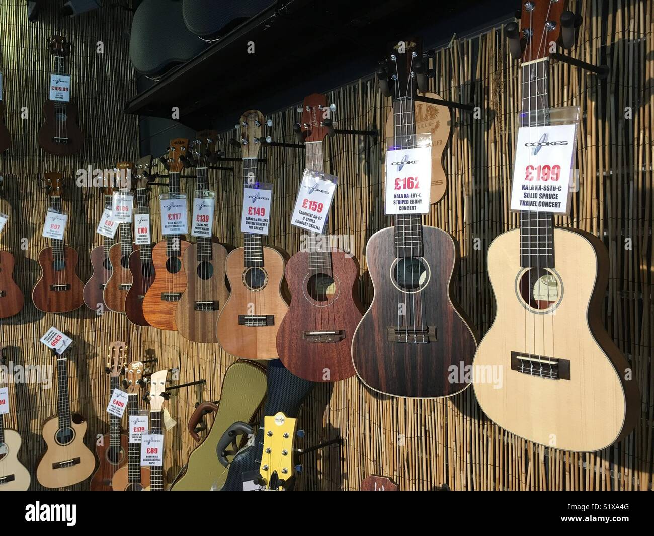 Gitarren auf Display mit Preisschildern, Musik Shop in Norwich, Norfolk, Großbritannien - Smartphone-aufgenommenes Stockfoto