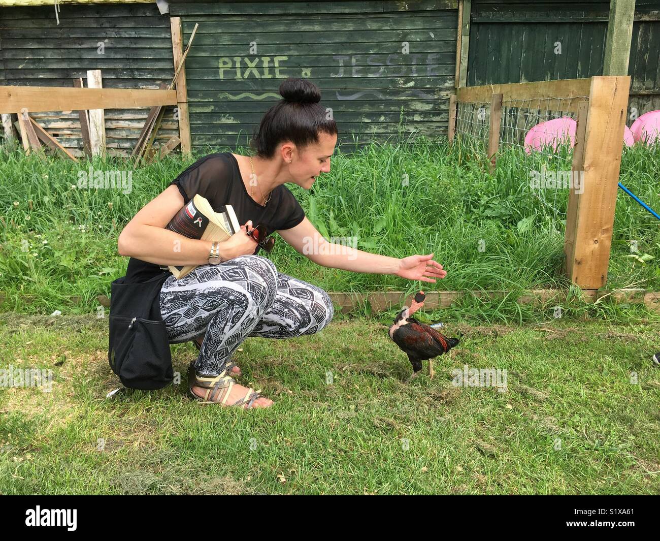 Junge Dame besuchen Vogelschutzgebiet, spielen mit Huhn, Norfolk, Großbritannien Stockfoto