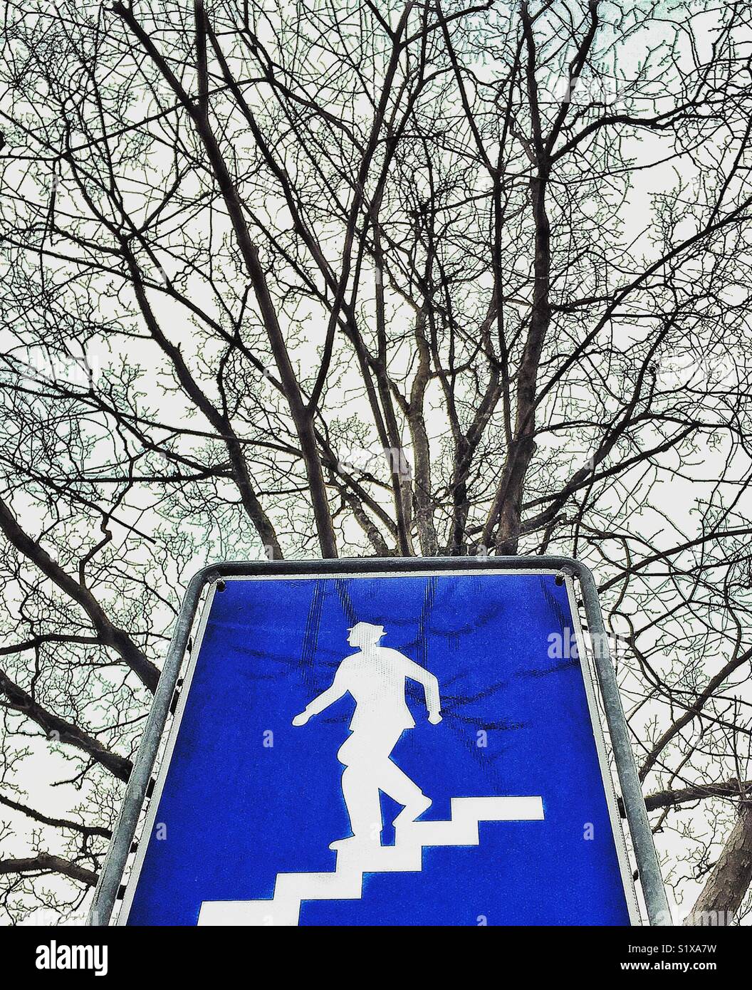 Fußgänger-Unterführung Zeichen gegen silhouetted Winter Bäume - Smartphone-aufgenommenes Stockfoto