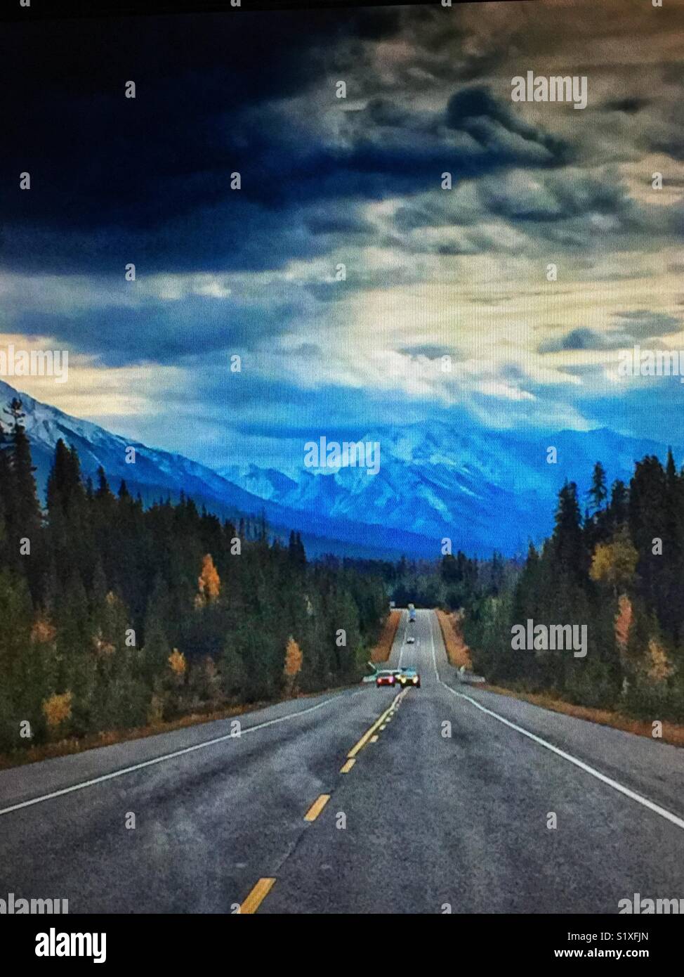 Straße zu den Kootenays, #93, Kootenay National Park, British Columbia, BC Kanada Stockfoto