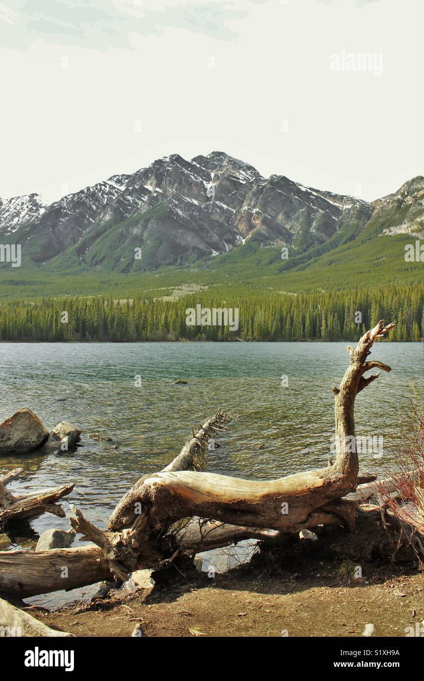 Pyramid Island View in Jasper, Alberta Stockfoto