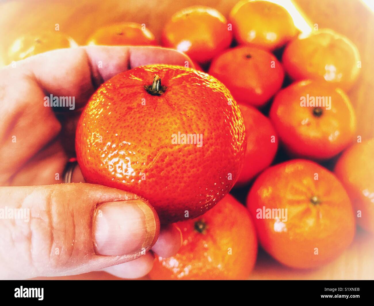 POV Orange in der Hand - Smartphone-aufgenommenes Stockfoto