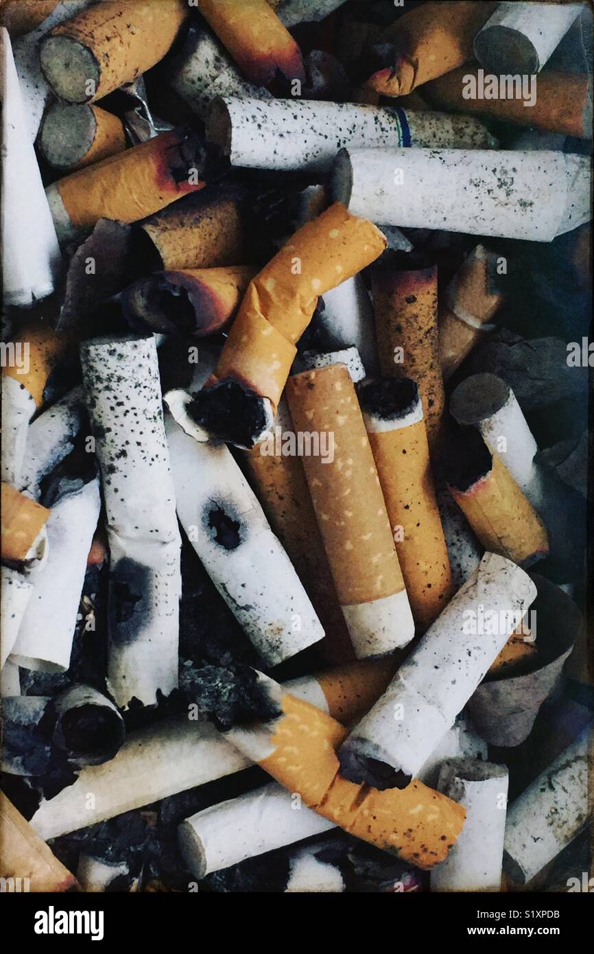 Eine Masse von bösen Zigarettenkippen. Stockfoto