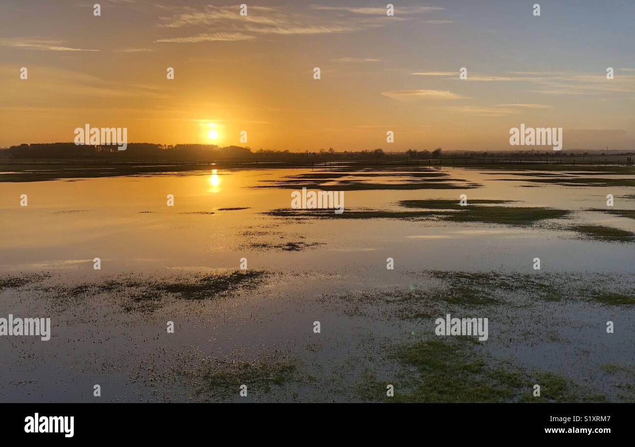 Sonnenuntergang über die Felder überschwemmt. Stockfoto