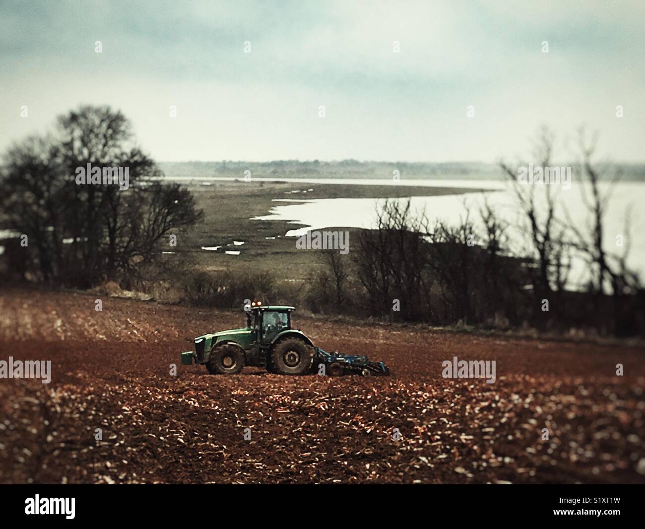 Verworfen Karotte Erntegut, Ramsholt, Suffolk, England. - Smartphone-aufgenommenes Stockfoto