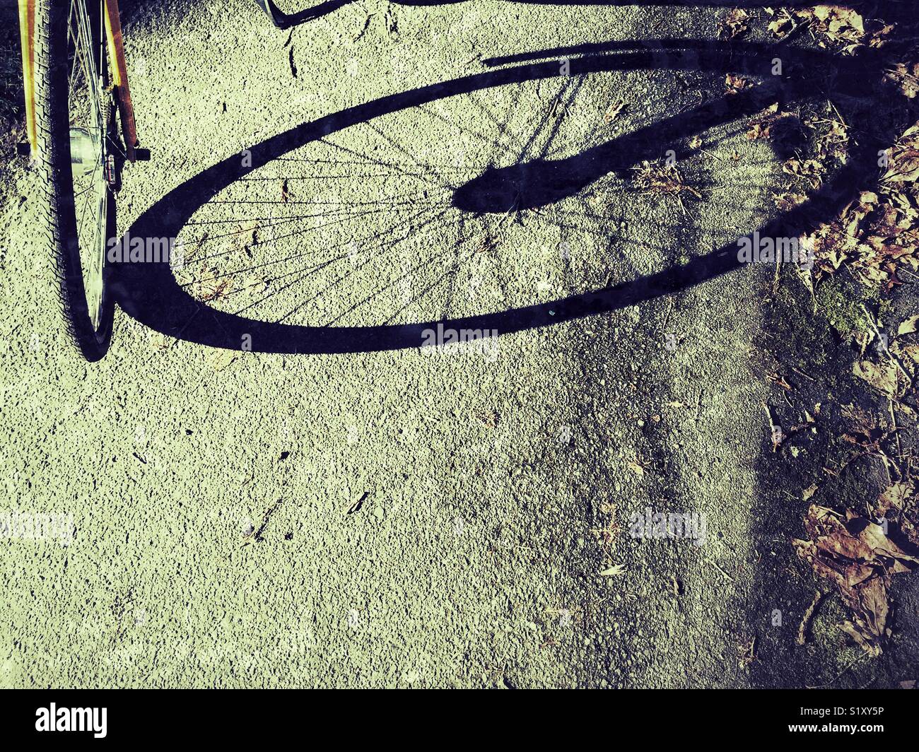 Lange Winter Schatten von einem Fahrrad Rad geworfen. Stockfoto