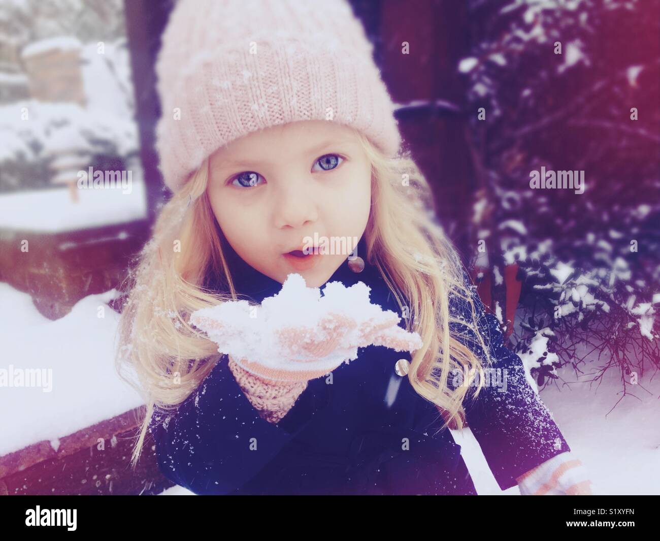Die Schönheit der Schnee Stockfoto