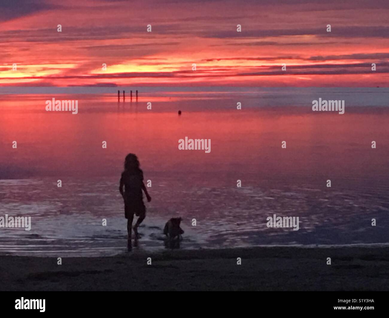 Junge und Hund Silhouette im Sonnenuntergang Stockfoto