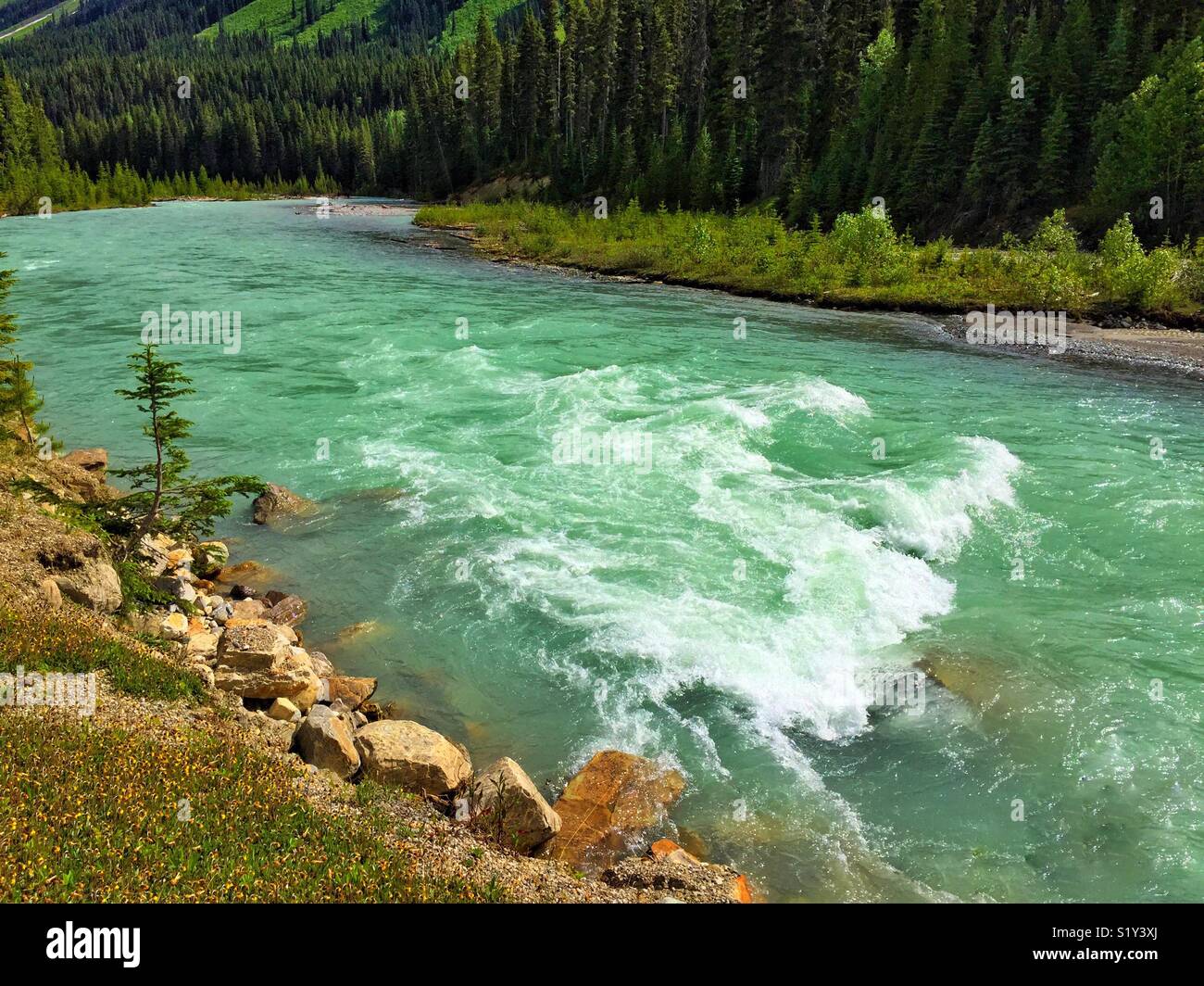 Aqua und grün - Smartphone-aufgenommenes Stockfoto