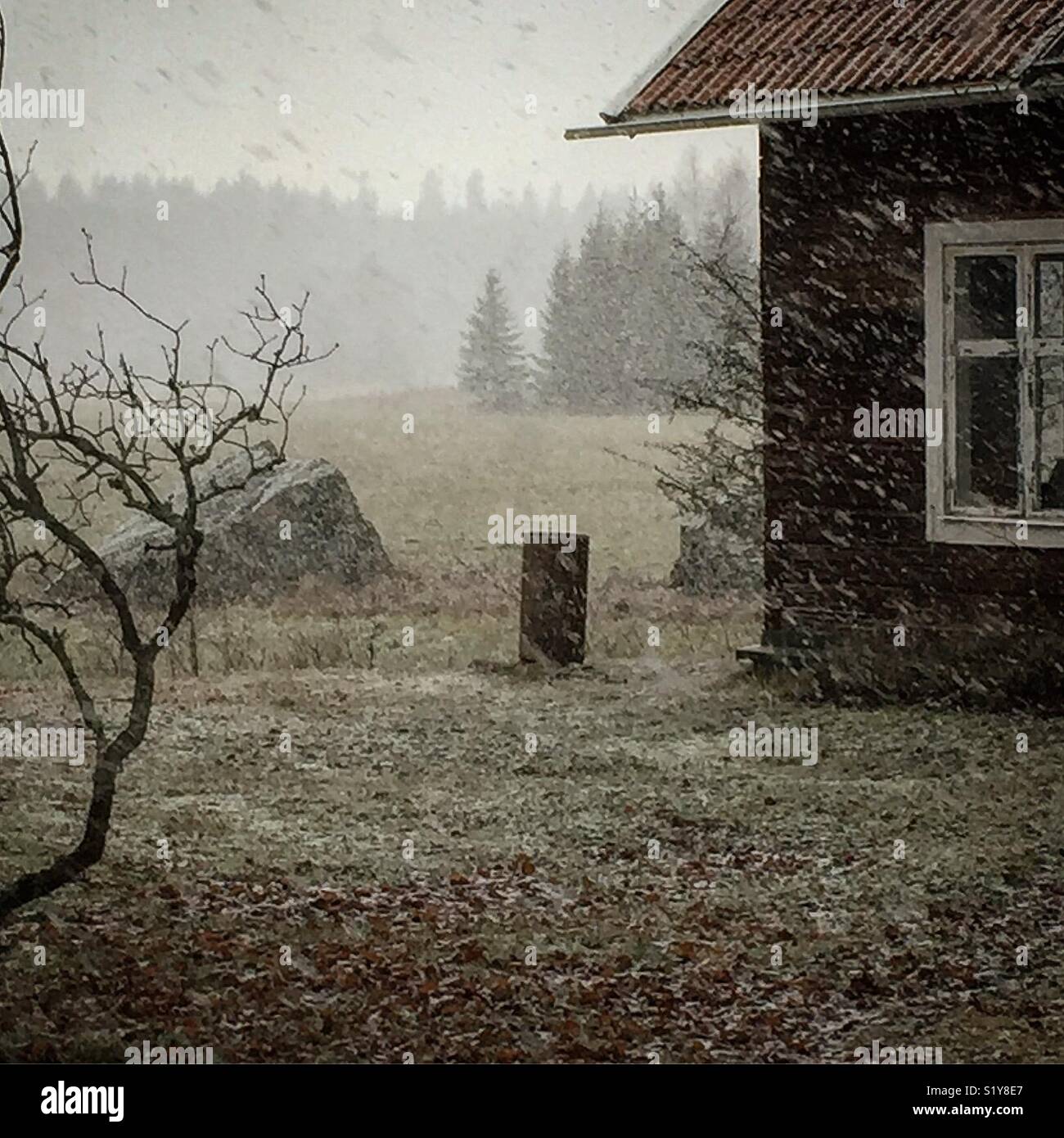 Der erste Schnee der Saison Blizzard. - Smartphone-aufgenommenes Stockfoto