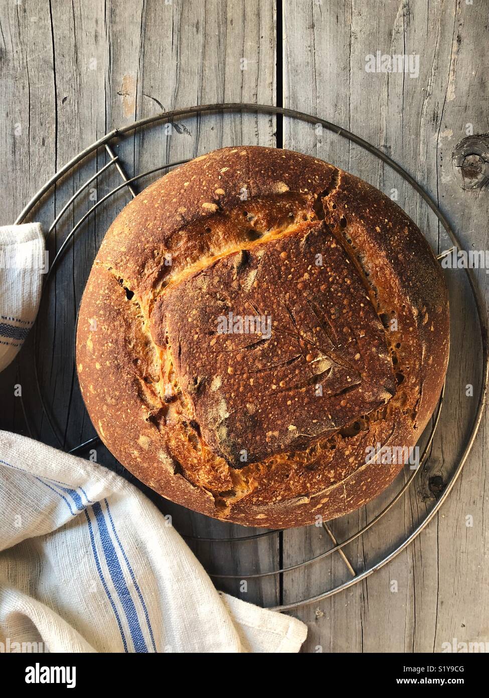 Hausgemachte Sauerteigbrot ruht auf einem Gitter. - Smartphone-aufgenommenes Stockfoto