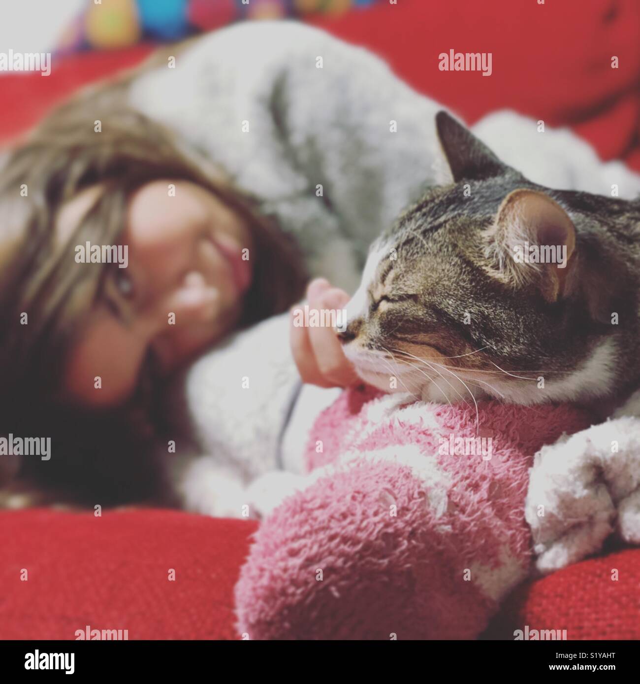Mädchen mit Katze zu Hause Stockfoto
