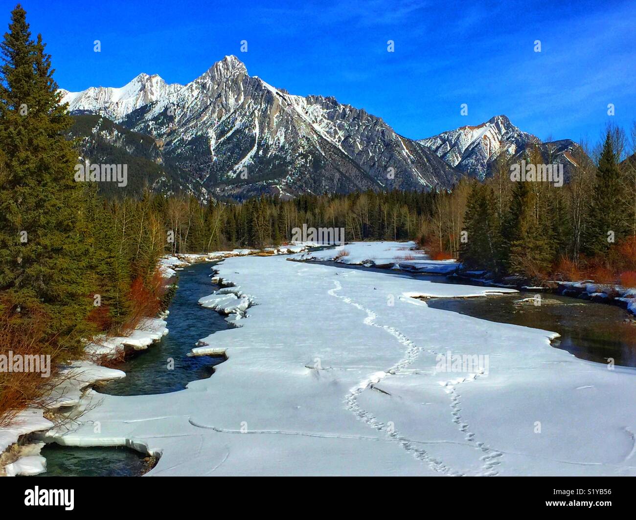 Kananaskis River, kanadische Rockies Stockfoto