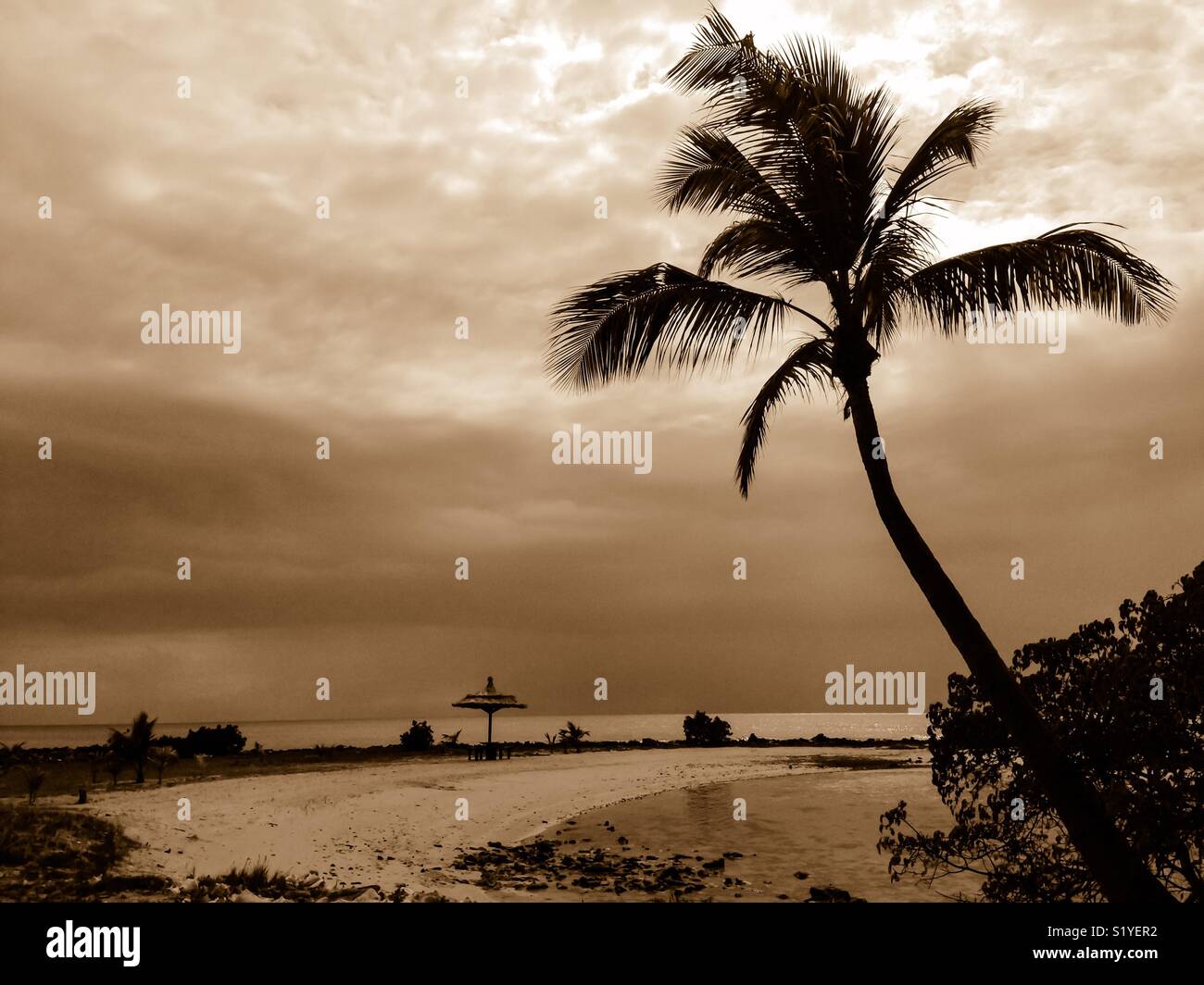 Mustique. Riff vor Dolly Strand mit Palme im Vordergrund Stockfoto