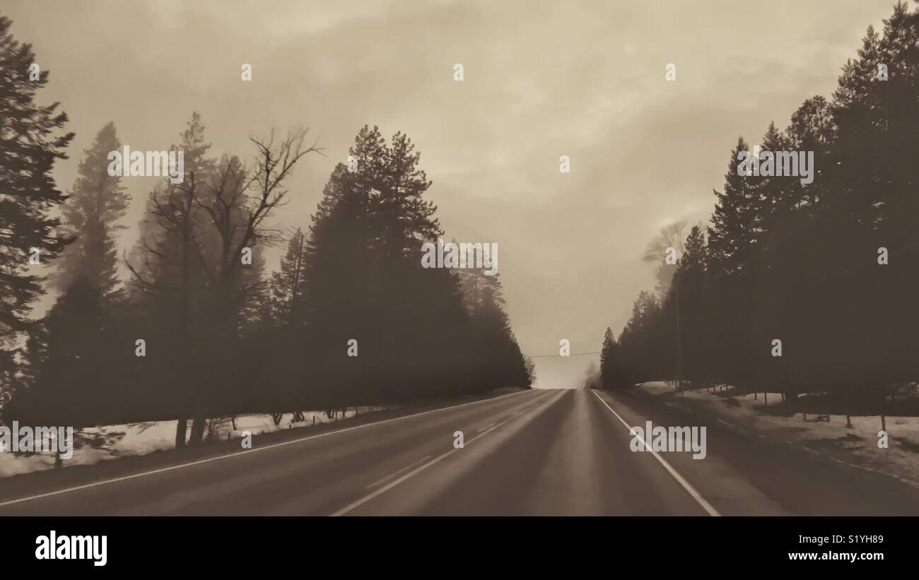Leere Autobahn durch Bäume an einem nebligen späten Winter tag umgeben. Vintage bearbeiten. Stockfoto