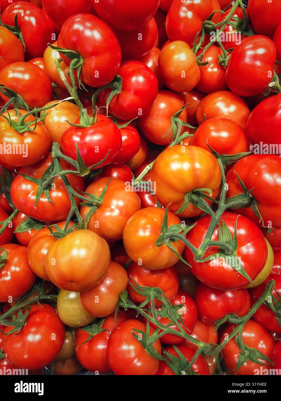 Full Frame Ansicht der Stapel der Reife Strauchtomaten - Smartphone-aufgenommenes Stockfoto