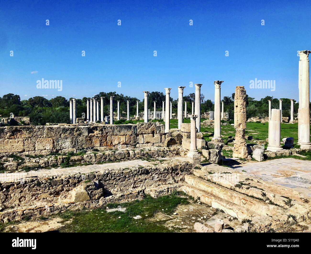 Römische Ruinen, Salamis, Zypern Stockfoto