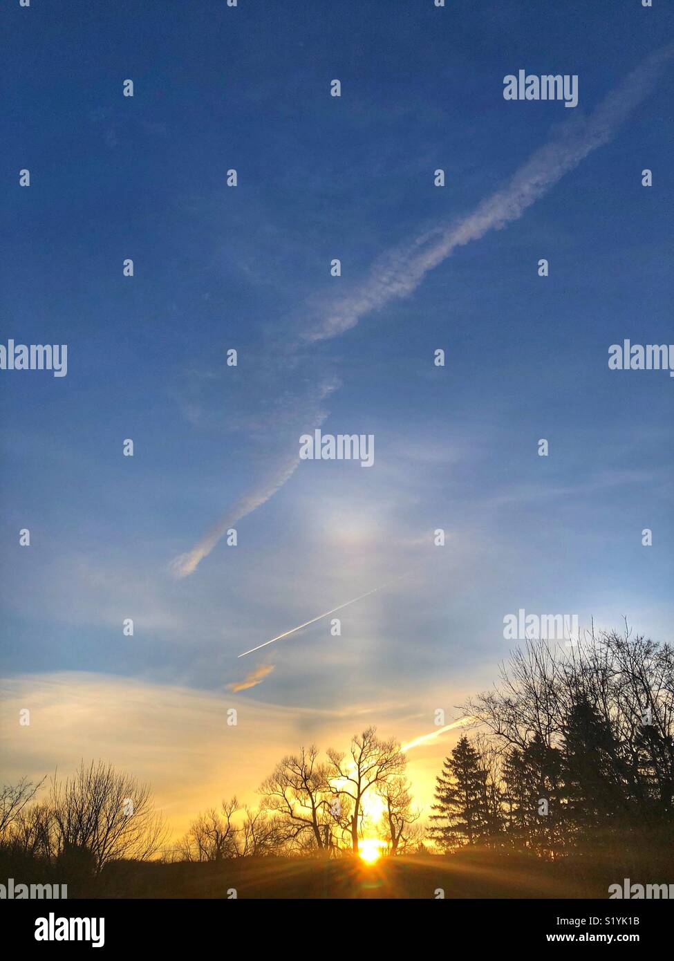 Schönen Sonnenaufgang Himmel mit interessanten Wolken, silhouetted Bäume und Jet Trail - Smartphone-aufgenommenes Stockfoto