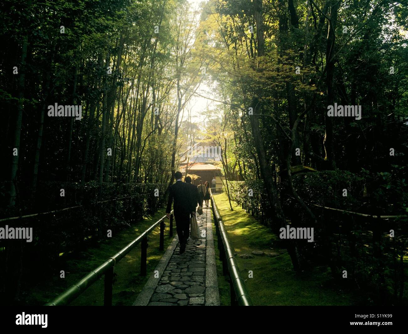 Zu Fuß durch Bambus Wald Garten in Japan Stockfoto