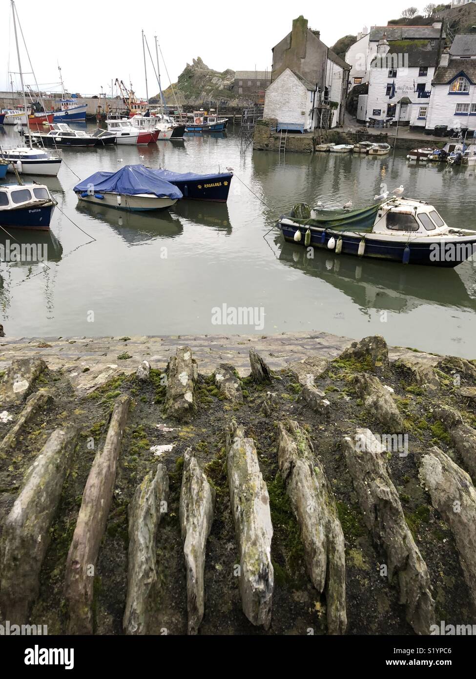 Polperro Hafen in Cornwall in Großbritannien - Smartphone-aufgenommenes Stockfoto