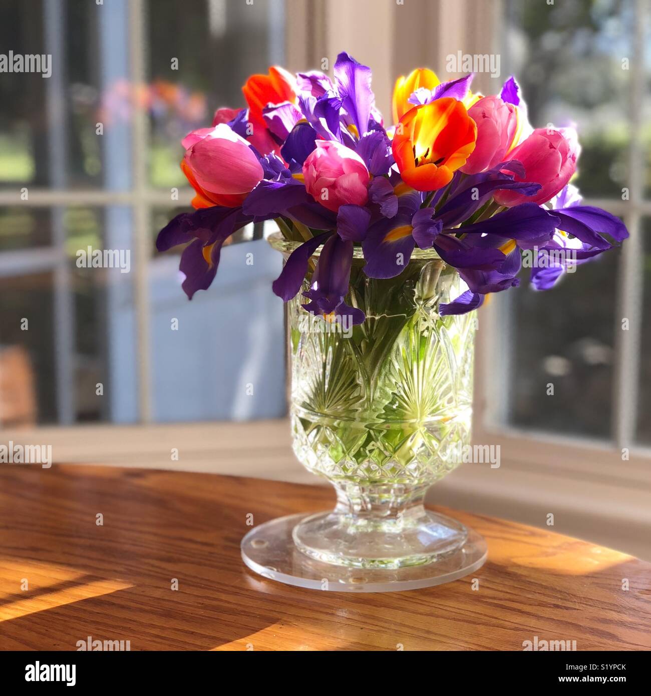 Iris vase -Fotos und -Bildmaterial in hoher Auflösung – Alamy