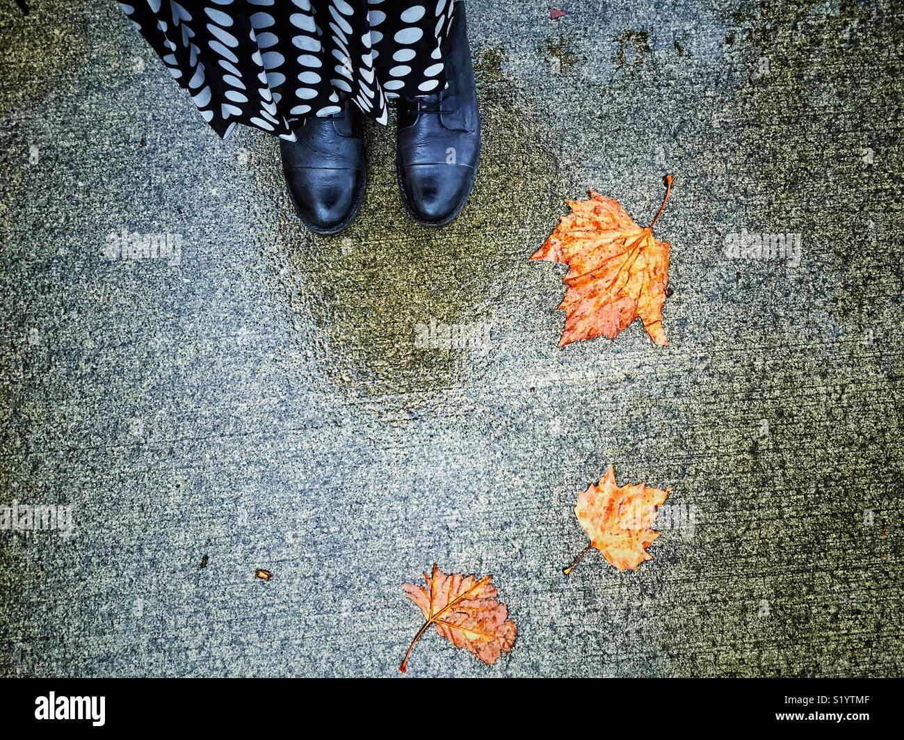 Blätter im Herbst und schwarze Schuhe mit Polka Dot Rock Stockfoto