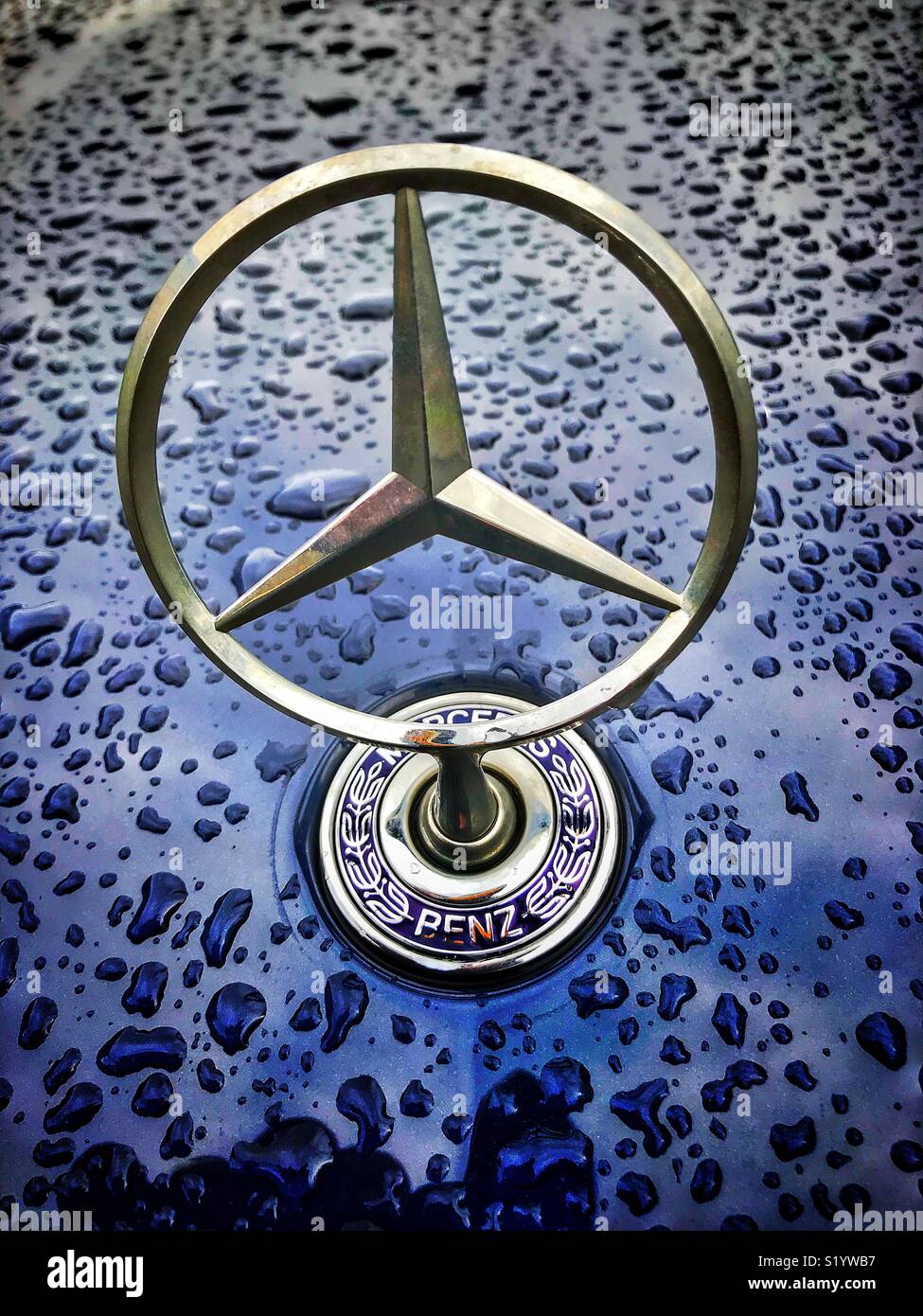 Mercedes Benz metall Logo auf der Motorhaube eines blauen Auto im Regen Stockfoto