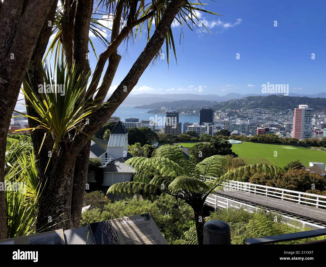 Blick vom Kelburn Ausblick über Wellington, Neuseeland Stockfoto