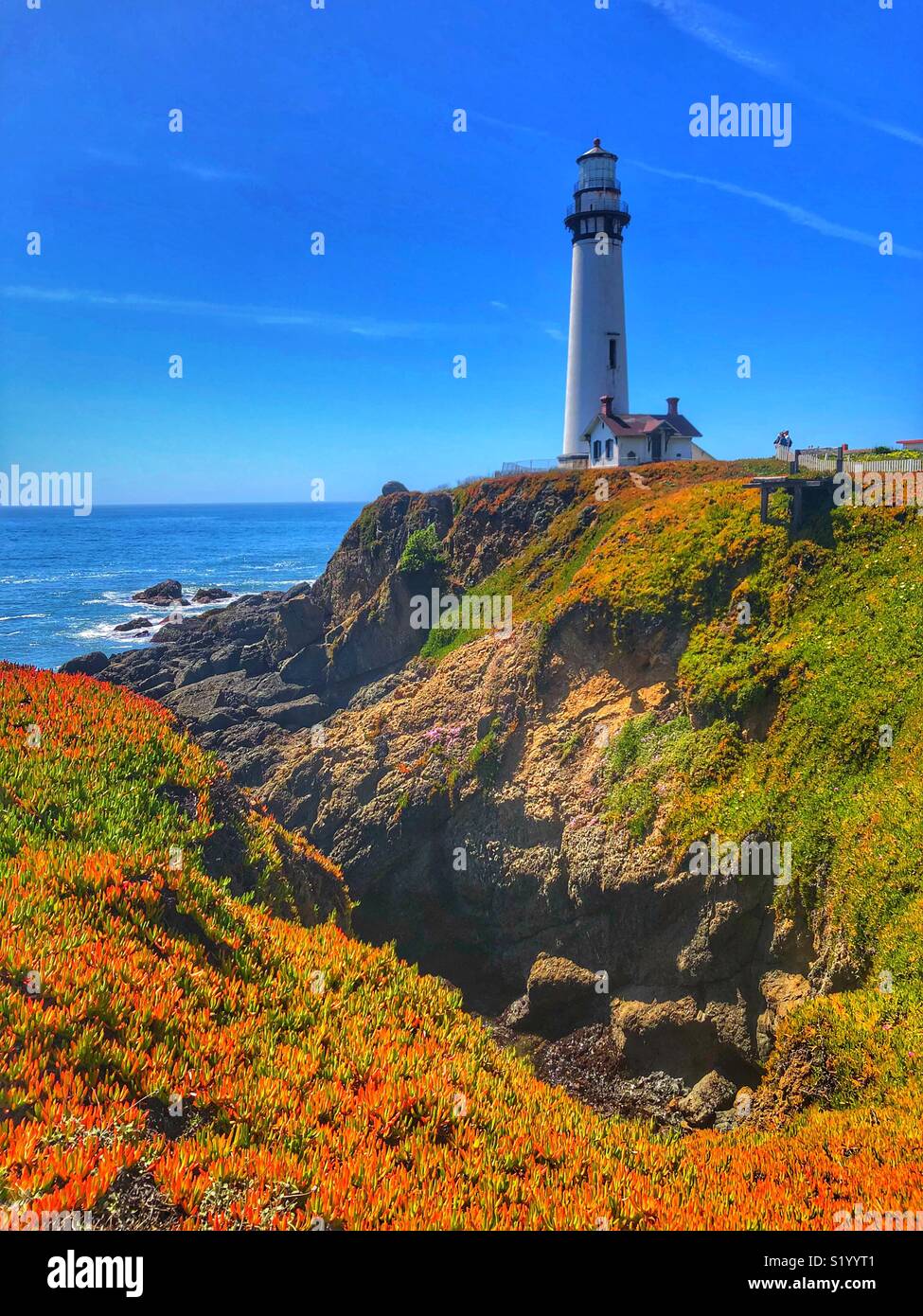 Pigeon Point Lighthouse in Nordkalifornien mit Ice-Werk entlang der Klippen Wachsen Stockfoto