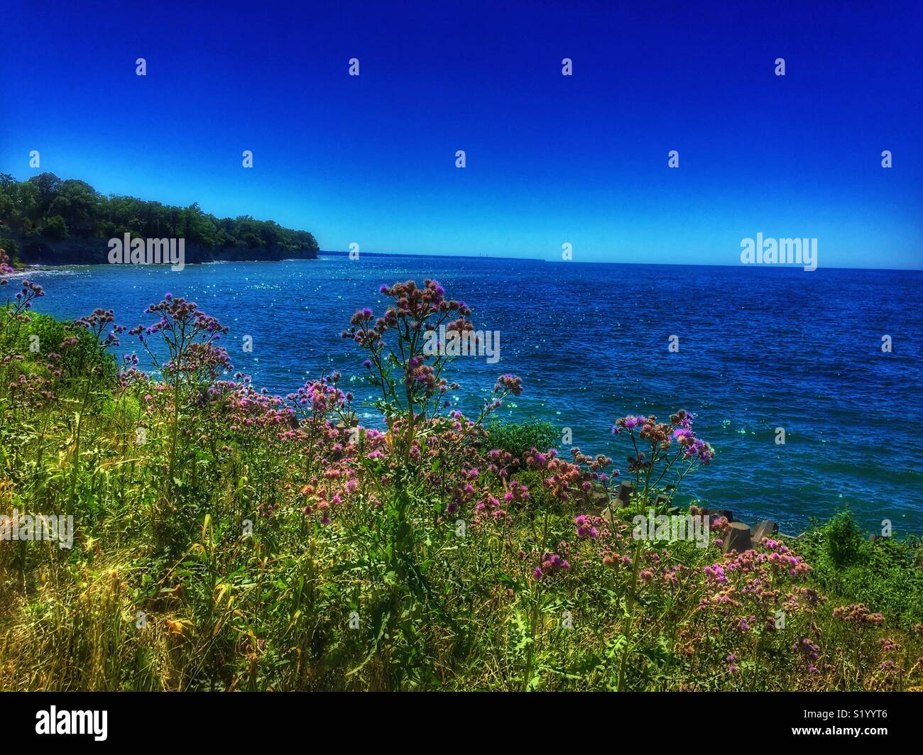 Lake Erie Shoreline Stockfoto