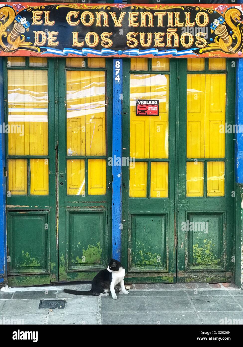 Katze draußen ein Geschäft - Smartphone-aufgenommenes Stockfoto