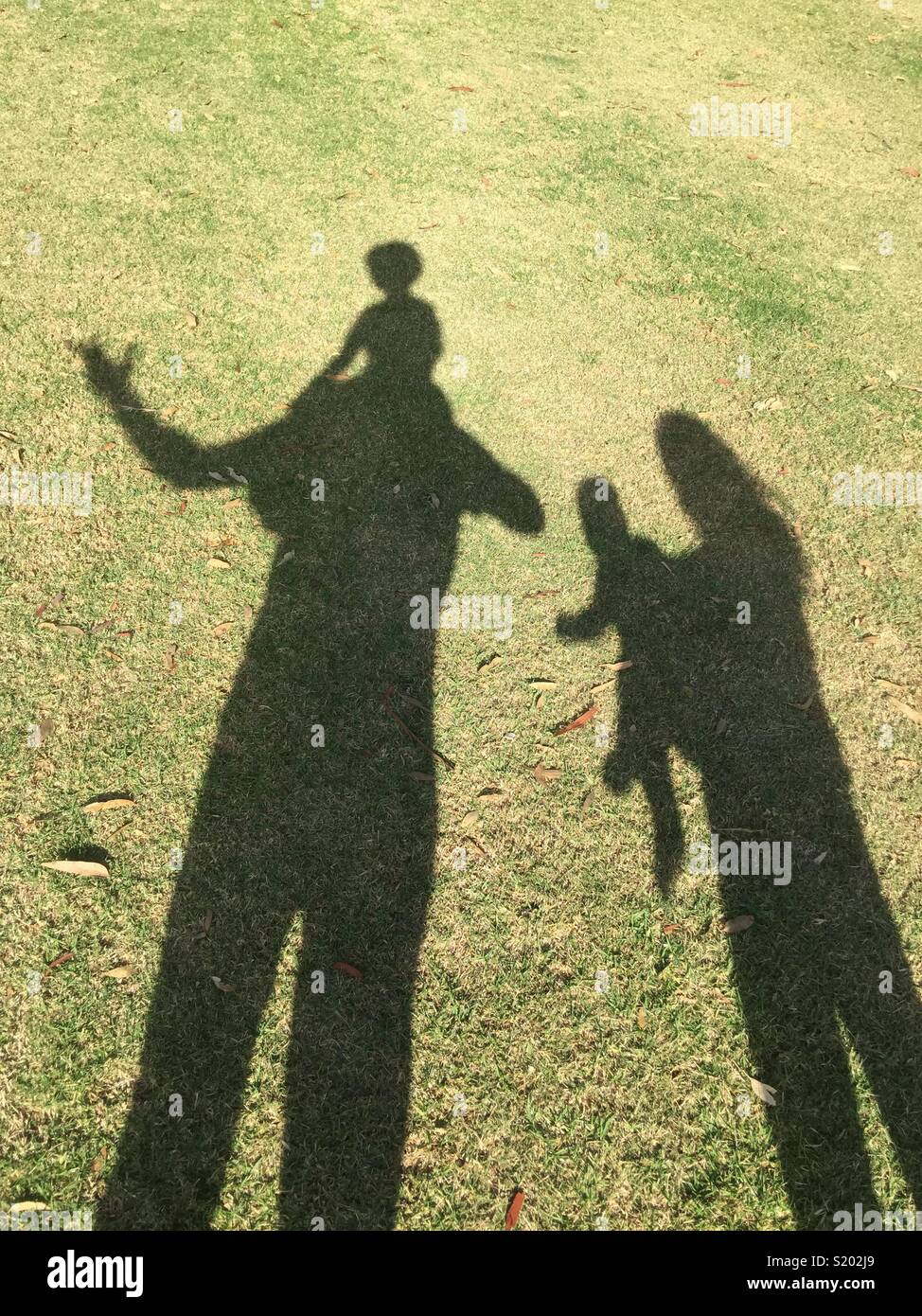 Familie silhouette Stockfoto