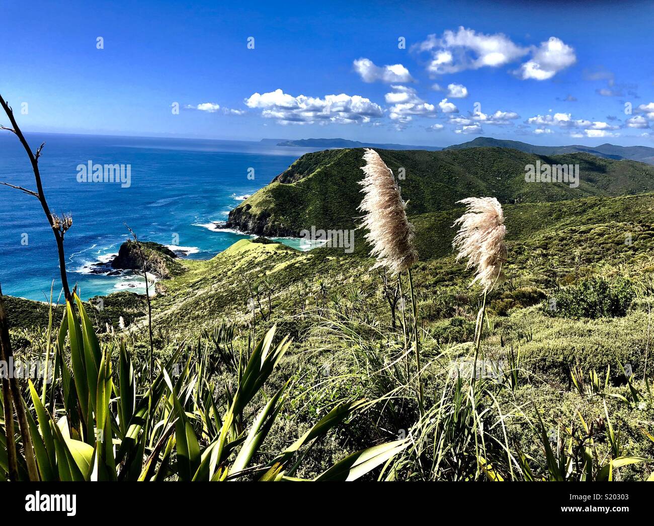 Blick auf die Küste und die Bucht von Spirituosen, am Cape Reinga, dem nördlichsten Punkt von Neuseeland, Nordinsel Stockfoto