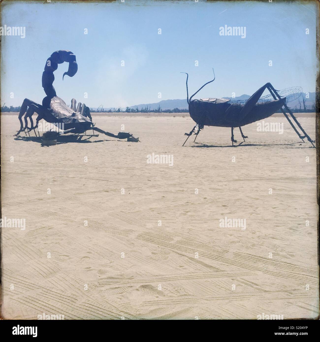 Große metallene Skulpturen in der Wüste von Beret gehen Springs, Kalifornien. Diese Plastiken oder Skulpturen sind einer Heuschrecke und einen Skorpion. Stockfoto