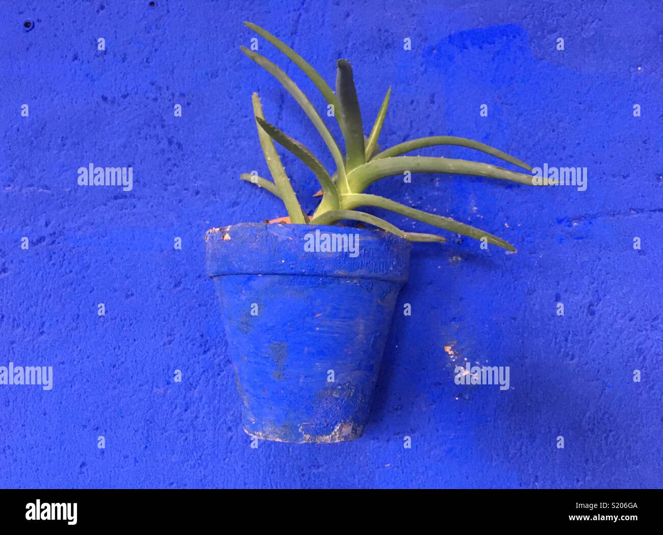 Flower Pot an der Wand aufhängen zu verzieren - Smartphone-aufgenommenes Stockfoto