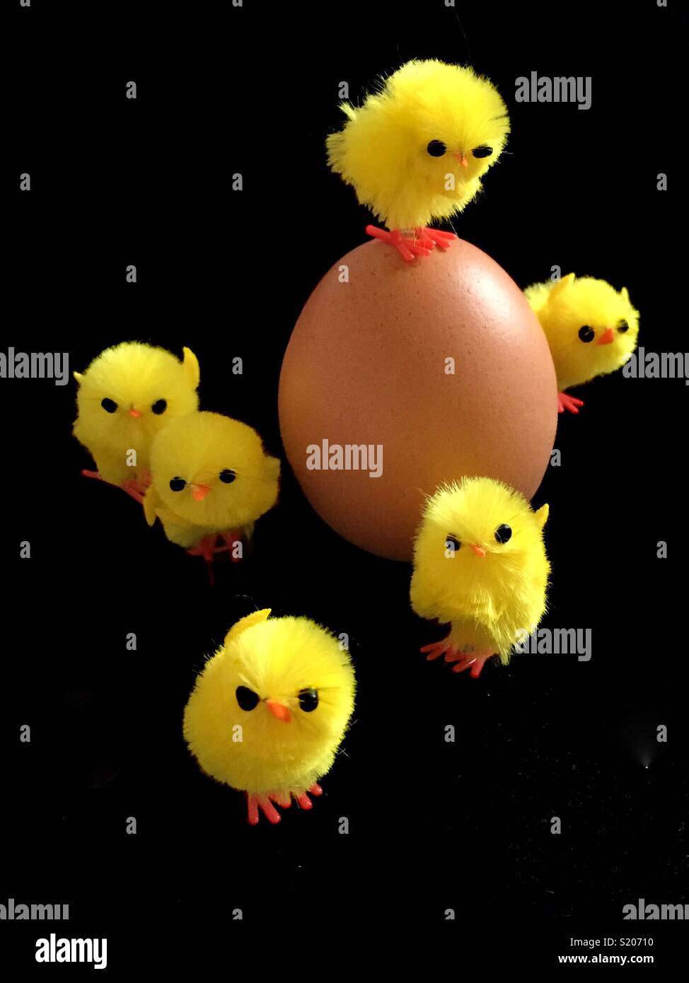 Küken, Eier, Geflügel Stockfoto