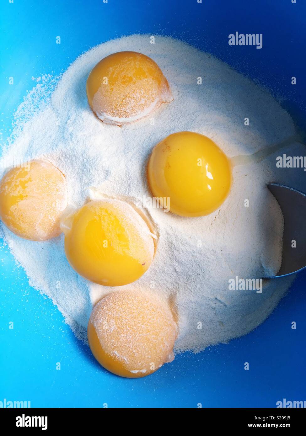 5 Eigelb auf einem Haufen Mehl in eine blaue Schüssel Stockfoto