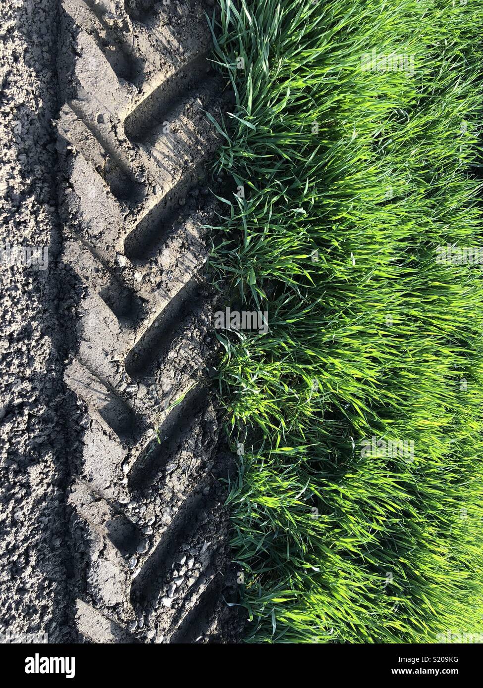 Titel, die von einem Bauernhof Traktor am Rande eines weichen Feld. - Smartphone-aufgenommenes Stockfoto