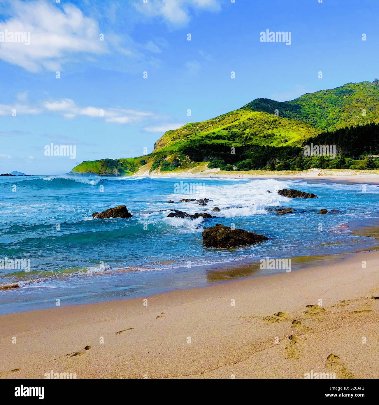 Ocean Beach, einem 6 km langen Surfer Beach, Whangarei Heads, in der Nähe von Whangarei, North Island, Neuseeland Stockfoto