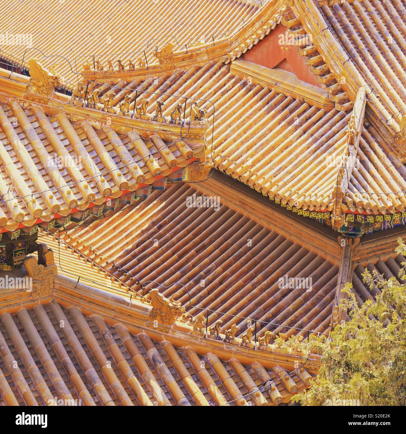 Golden chinesischen Dächer im Summer Palace. Stockfoto