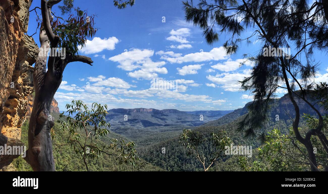 Das Jamison Valley und den Solitären der Schwachen Treppen, Wentworth Falls LOOP-Spur, Blue Mountains National Park, NSW, Australien Stockfoto